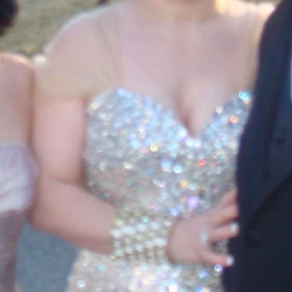 Terani couture prom pageant dress - Picture 3 of 4